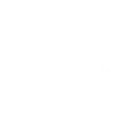 Immagine del logo demeral bianco